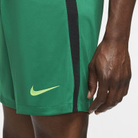Nike Nigeria Thuisbroekje 2020-2021