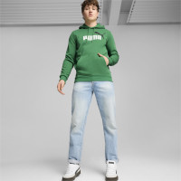PUMA Essentials+ 2 College Big Logo Fleece Hoodie Groen Wit Zwart