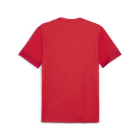 PUMA teamGOAL Matchday Voetbalshirt Rood Wit