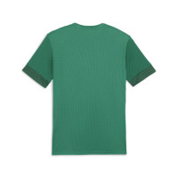 PUMA teamGOAL Matchday Voetbalshirt Groen Wit