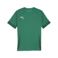 PUMA teamGOAL Matchday Voetbaltenue Groen Wit