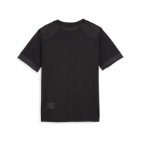 PUMA teamGOAL Matchday Voetbalshirt Kids Zwart Wit Grijs