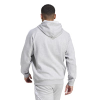 adidas Tiro 24 Sweat Hoodie Light Grey White