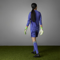 adidas Predator Pro Keepershandschoenen Groen Roze Paars