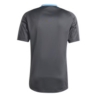 adidas Argentinië Trainingsshirt 2024-2026 Donkergrijs Lichtblauw Goud