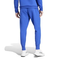 adidas Argentinië Travel Trainingsbroek 2024-2026 Blauw Lichtblauw