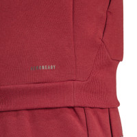 adidas België Travel Vest 2024-2026 Donkerrood Donkergrijs