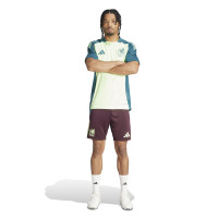adidas Mexico Trainingsset 2024-2026 Felgroen Bordeauxrood Donkergroen