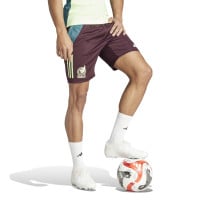 adidas Mexico Trainingsset 2024-2026 Felgroen Bordeauxrood Donkergroen