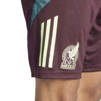 adidas Mexico Trainingsset 2024-2026 Felgroen Bordeauxrood Donkergroen