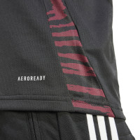 adidas Peru Uitshirt 2024-2026
