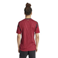 adidas België Thuistenue 2024-2026