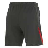 Nike Turkije Academy Pro Trainingsset 2024-2026 Donkergrijs Rood Wit