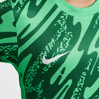 Nike Nederland Keeperstenue Lange Mouwen 2024-2026 Kids Groen