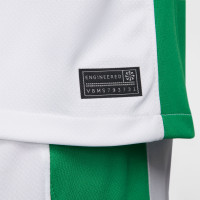 Nike Nigeria Home Jersey 2024-2026