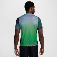 Nike Nigeria Pre-Match Training Shirt 2024-2026 Green Blue Black White