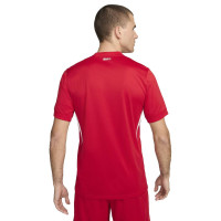 Nike Turkije Uitshirt 2024-2026