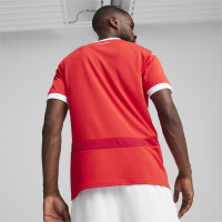 PUMA Oostenrijk Thuisshirt 2024-2026