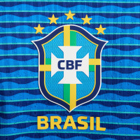 Nike Brazilië Uitshirt Authentic 2024-2026
