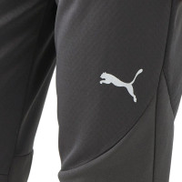 PUMA Zwitserland Trainingsbroek 2024-2026 Donkergrijs Wit