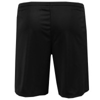 Nike NAC Breda Home Kit 2024-2025