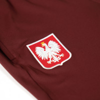 Nike Polen Strike Training pants 2024-2026 Burgundy Bright Red