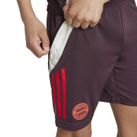 adidas Bayern Munich Training Short 2024-2025 Kids Burgundy Red White