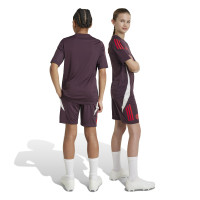 adidas Bayern Munich Training Short 2024-2025 Kids Burgundy Red White