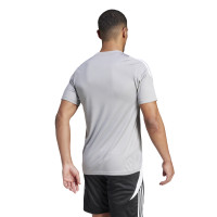 adidas Tiro 24 Trainingsshirt Lichtgrijs Wit