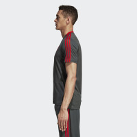 adidas Bayern Munchen Trainingsshirt 2018-2019 Utility Ivy Red