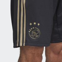 adidas Ajax Trainingsbroekje 2018-2019 Carbon Raw Gold