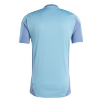 adidas Ajax Training Shirt 2024-2025 Light Blue Blue Yellow