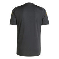 adidas Argentina Pre-Match Training Shirt 2024-2026 Black Light Blue Gold