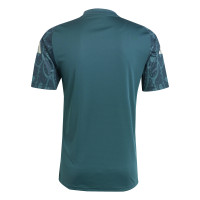 adidas Mexico Pre-Match Training Shirt 2024-2026 Green White
