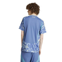 adidas Ajax Away 2024-2025