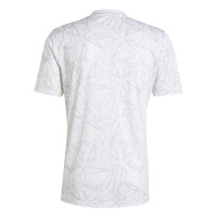 adidas Real Madrid Pre-Match Trainingsshirt 2024-2025 Wit Grijs