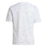 adidas Real Madrid Pre-Match Training Shirt 2024-2025 Kids White Grey