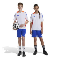 adidas Tiro 24 Training Short Kids Blue Red White
