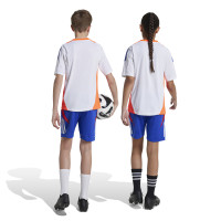 adidas Tiro 24 Training Short Kids Blue Red White