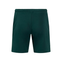 Castore Feyenoord Training Short 2024-2025 Kids Dark Green White