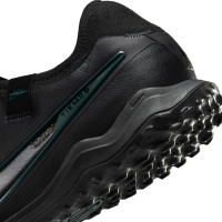 Nike Tiempo Legend 10 Pro Turf Football Shoes (TF) Black Dark Green