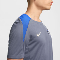 Nike Inter Milan Strike Training Shirt 2024-2025 Grey Blue Beige