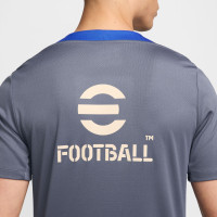 Nike Inter Milan Strike Training Shirt 2024-2025 Grey Blue Beige