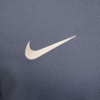 Nike Inter Milan Strike Training Shirt 2024-2025 Grey Blue Beige