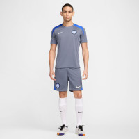Nike Inter Milan Strike Training Shirt 2024-2025 Grey Blue Beige