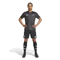 adidas Juventus Pre-Match Trainingsshirt 2024-2025 Antraciet Geel Roze Zwart Wit