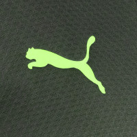 PUMA Borussia Dortmund Training sweater 1/4-Zip 2024-2025 Green Yellow