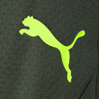 PUMA Borussia Dortmund Training pants 2024-2025 Green Yellow