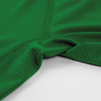 Stanno Core Base Layer Long Sleeve Green
