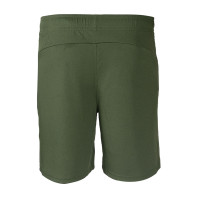 PUMA Borussia Dortmund Training Short 2024-2025 Green Yellow